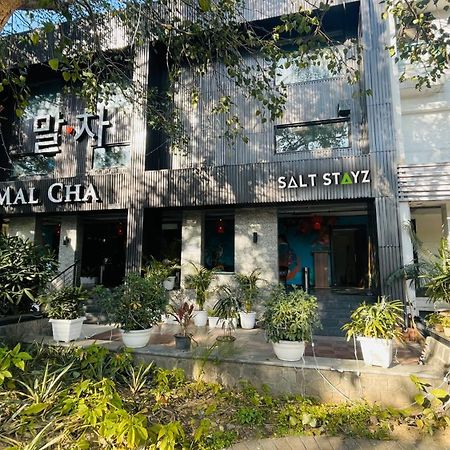 Saltstayz Select - Malcha & Chankyapuri Yeni Delhi Dış mekan fotoğraf
